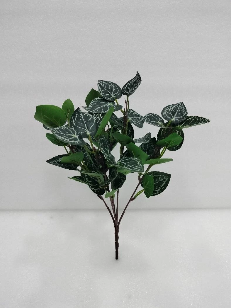 Satin Photos Money Plant Bunch Med